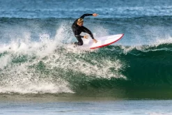 Surf Series Store -Surf Series Store BIGBOY fish surfboard torq 1