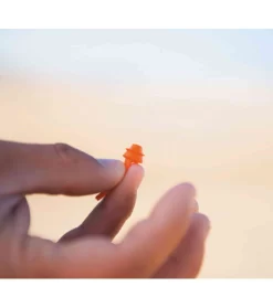EQ Earplug Set -Surf Series Store EQ Earplugs 1