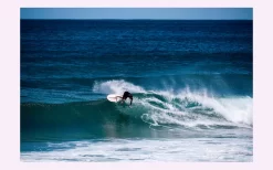 Pukas Surfboards – La Cote -Surf Series Store La cote noordzeeboardstore