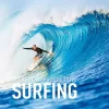 Surfboek: Secrets To Progressive Surfing