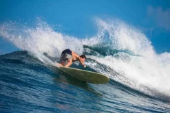 Torq TET Longboard – Gray / Wood Deck – (8’0 / 8’6 / 9’1) -Surf Series Store Torq Longboard 90 surf 1 1