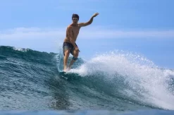 Torq – TEC The Don XL – ICE BLUE – 8’6 / 9’0 / 9’6 10 Torq – TEC The Don XL – ICE BLUE – 8’6 / 9’0 / 9’6 -Surf Series Store Torq TEC Don Surf 1 700x462 1