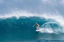 Torq TET – Carbon Strip – Fish – 5’11 – Green Rail 16 Torq TET – Carbon Strip – Fish – 5’11 – Green Rail -Surf Series Store Torq TET CS Fish Surf 1 700x462 1 1