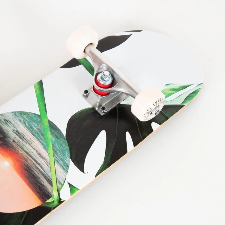 Aloiki Skateboard – Coast 7.6″ Complete Skateboard 2 Aloiki Skateboard – Coast 7.6″ Complete Skateboard - Image 2