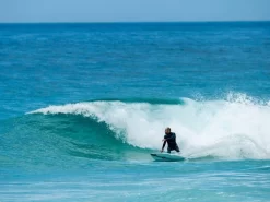 7S – Hook – Twin Fish 5’10 -Surf Series Store the hook 7S tom carrol