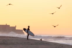 Torq TET – Mod Fish – Seagreen / White Deck – (5’11 / 6’3 / 6’6 / 6’10 / 7’2) -Surf Series Store torq fish 2