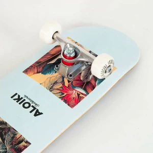 Aloiki Skateboard – Zicatela 7.75″ Complete 2 Aloiki Skateboard – Zicatela 7.75″ Complete - Image 2